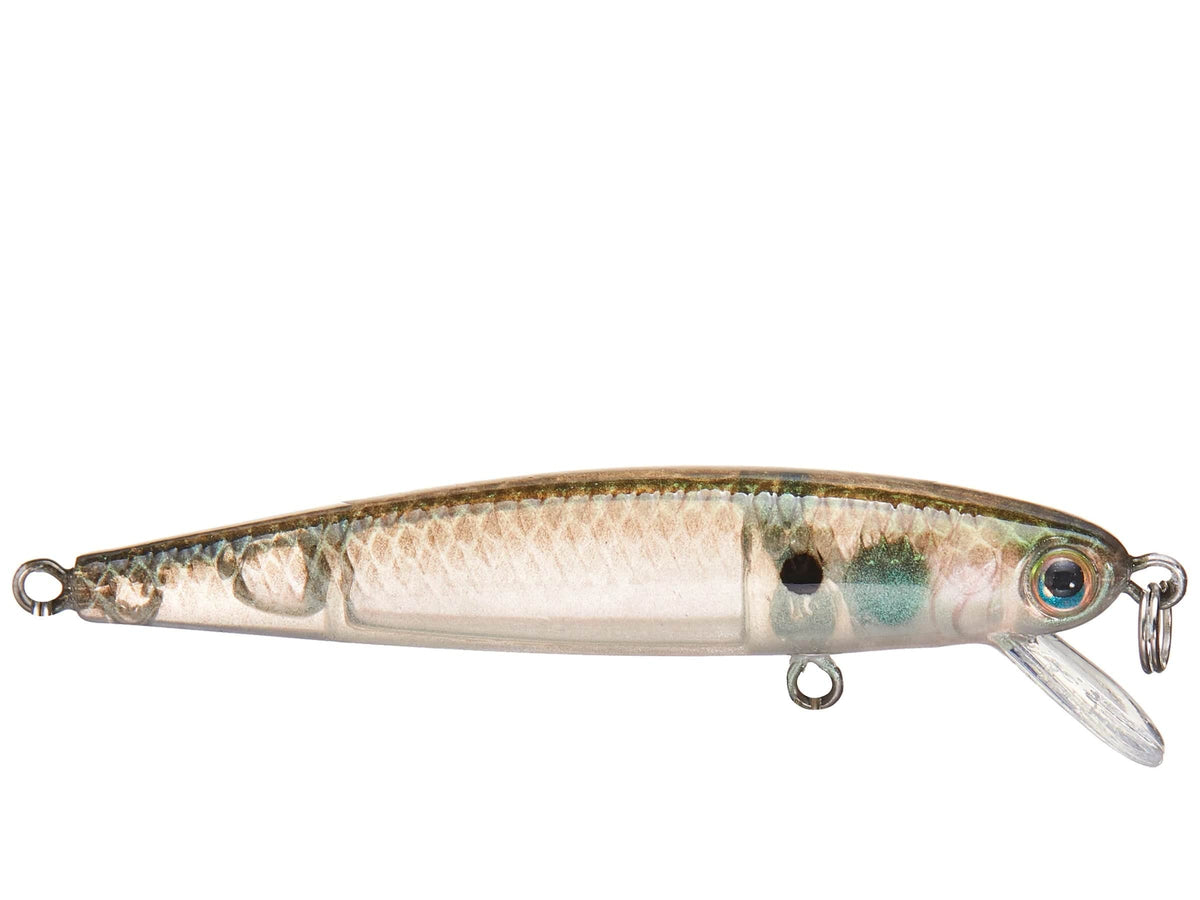 Baits Strike King Bitsy Jerkbait Green Gizzard Strike King Bitsy Jerkbait - Pescador Fishing Supply