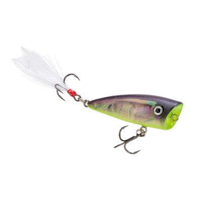 Baits Strike King Bitsy Splash Popper Strobe Shad Strike King Bitsy Splash Popper - Pescador Fishing Supply