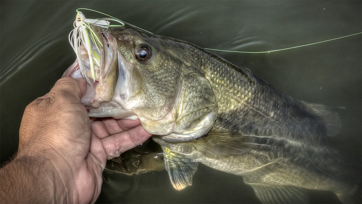 V&M Baits Pulse Swim Jig