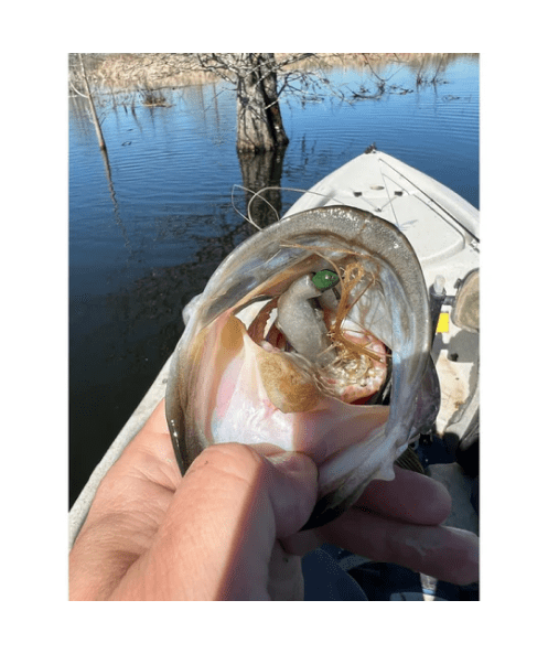 WM Bayou Techno Frog 4.1″ Twitch Ned Finesse Bait