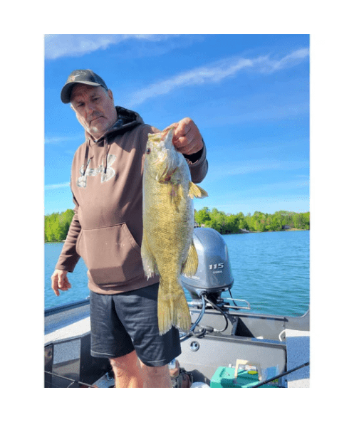 WM Bayou Techno Frog 4.1″ Twitch Ned Finesse Bait