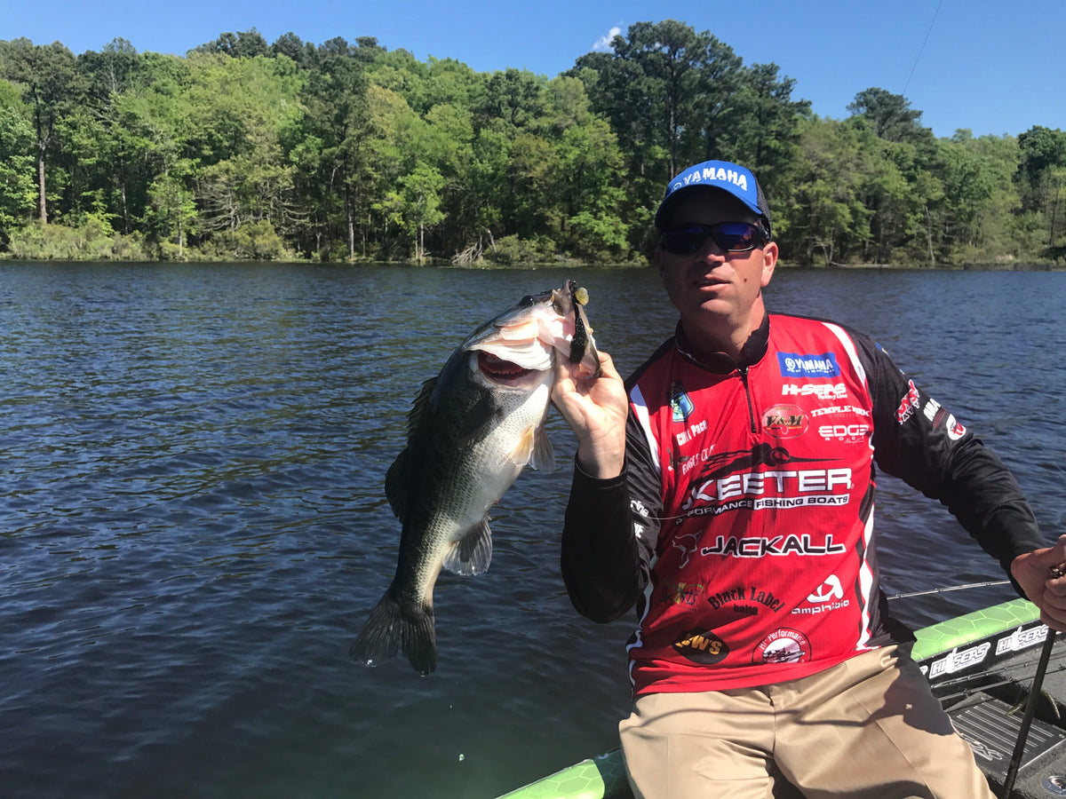 Soft Plastic Thunder Shad Thunder Shad