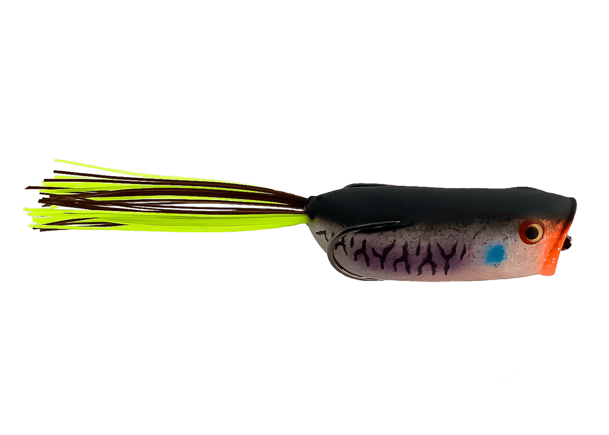 Frogs Toad Thumper Poppin' Frog – Bad Gill Toad Thumper Poppin' Frog – Bad Gill - Pescador Fishing Supply