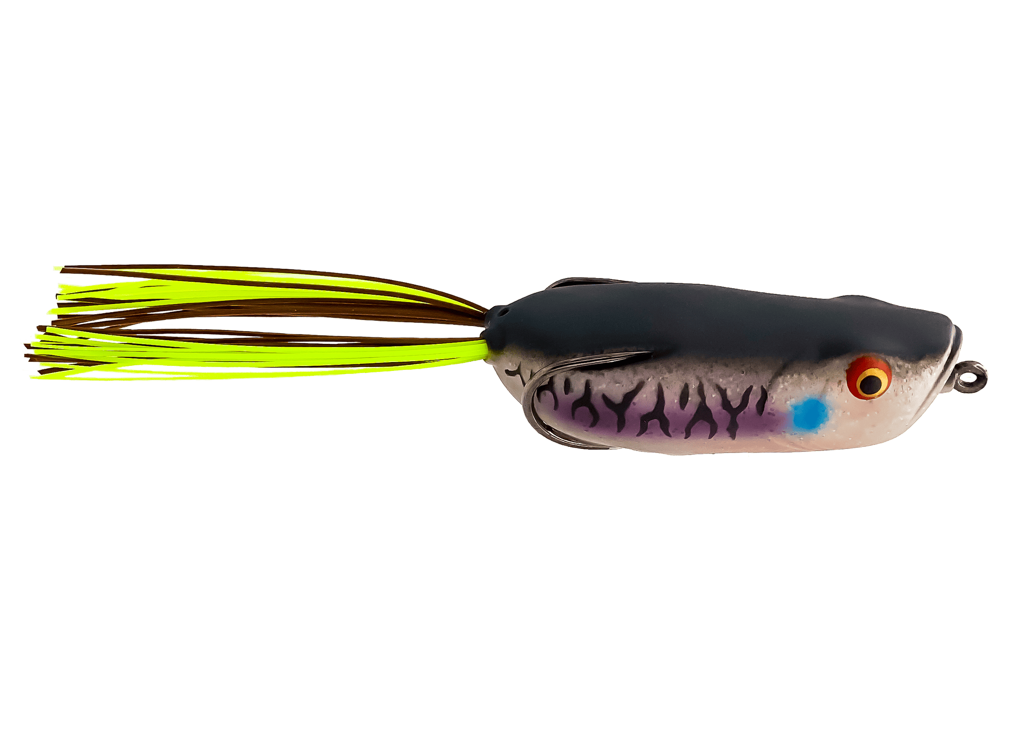 Frogs Toad Thumper Swamper Walkin’ Frog – Bad Gill Toad Thumper Swamper – Bad Gill - Pescador Fishing Supply