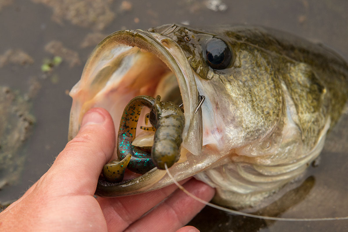 Soft Plastic V & M Baits Cliff's Wild Craw - J-Claw Flipping Trailer J-Claw Flipping Craw for Bass in Thick Mats and Brush