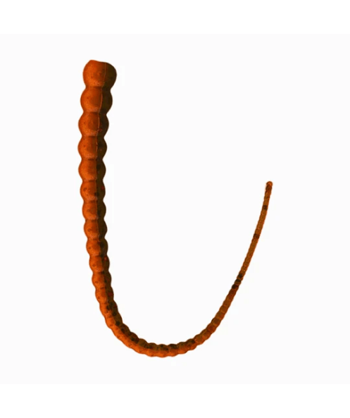 WM Bayou Whip Worm 6.1″ Finesse Dropshot Worm