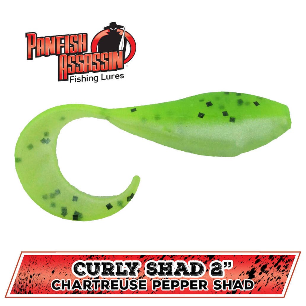 Soft Baits Bass Assassin Curly Shad 2&quot; Chartreuse Pepper Shad Fishing Tackle - Crappie Fishing | Pescador Fishing Supply